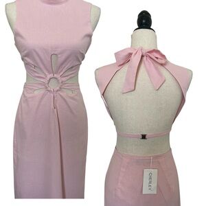 NWT Cherley Pink Cutout Maxi Dress
